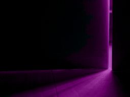 {{brizy_dc_image_alt entityId=